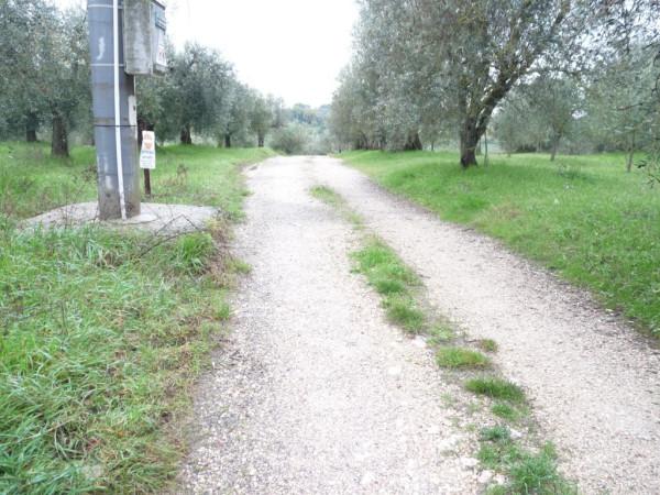 immagine annuncio 5 di 7