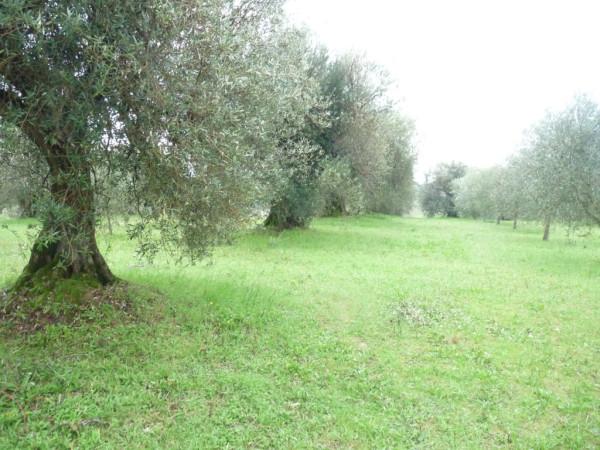 immagine annuncio 4 di 7