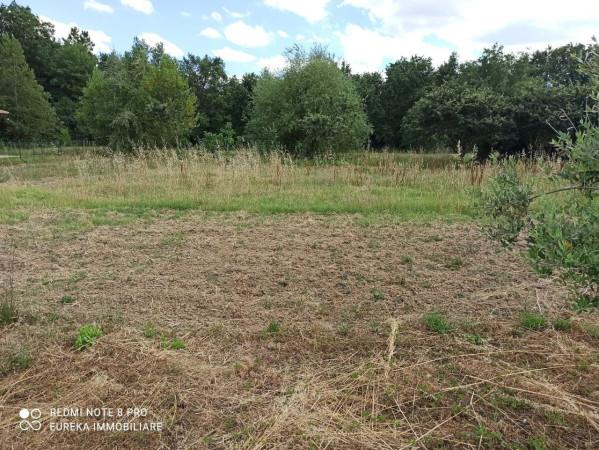 immagine annuncio 2 di 4