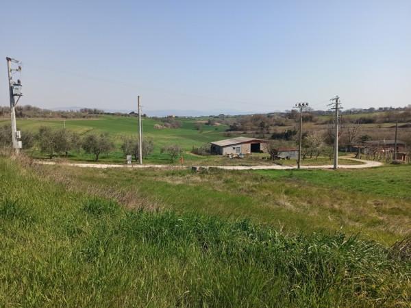 immagine annuncio 4 di 8