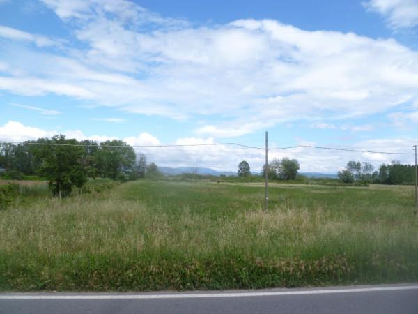 immagine annuncio 5 di 6