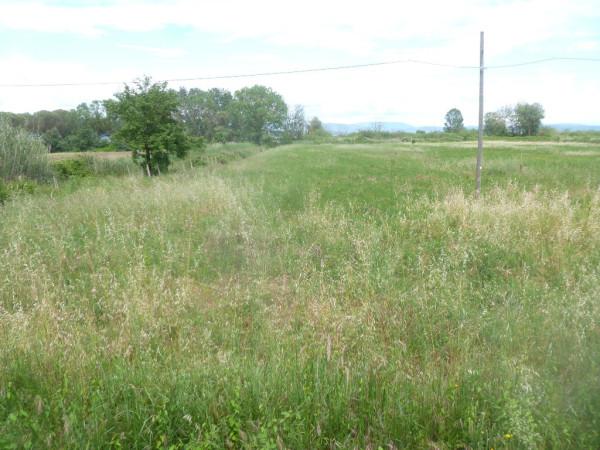 immagine annuncio 4 di 6