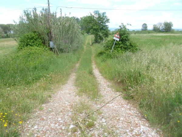 immagine annuncio 3 di 6