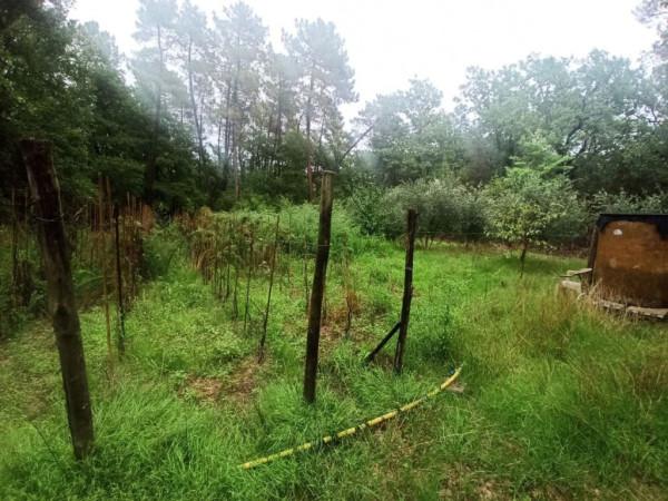 immagine annuncio 4 di 7