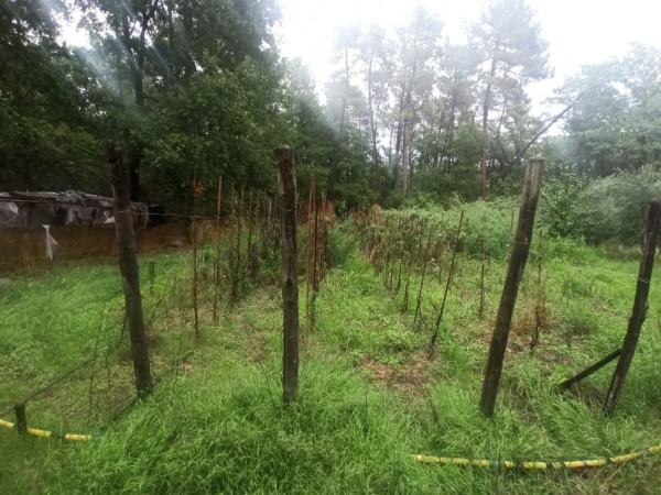 immagine annuncio 3 di 7