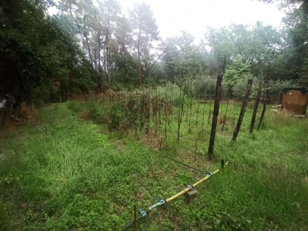 immagine annuncio 5 di 7