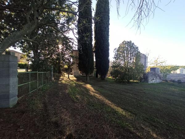 immagine annuncio 9 di 12