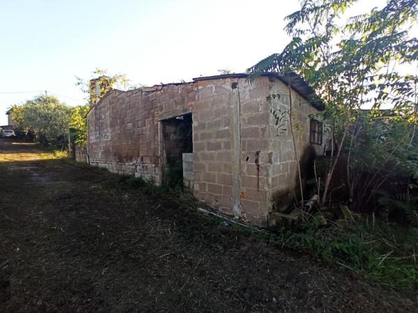 immagine annuncio 5 di 12