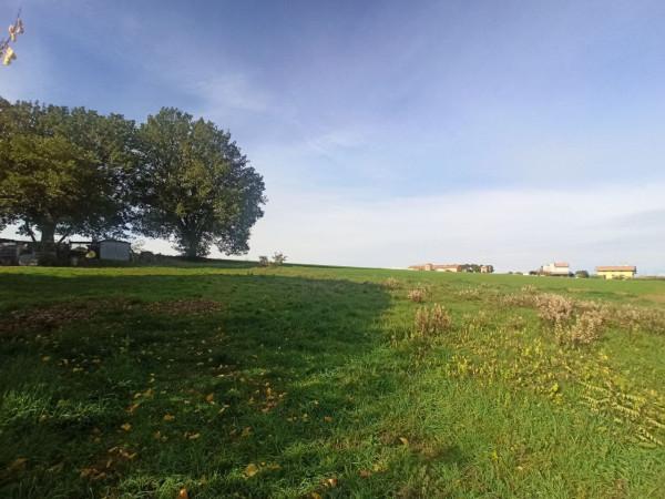 immagine annuncio 6 di 8