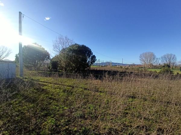 immagine annuncio 3 di 6