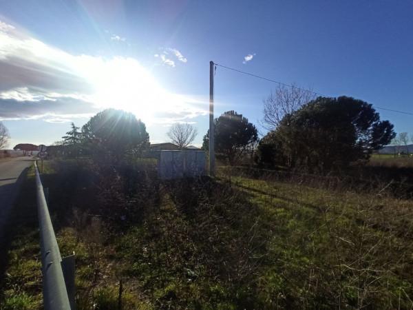 immagine annuncio 2 di 6