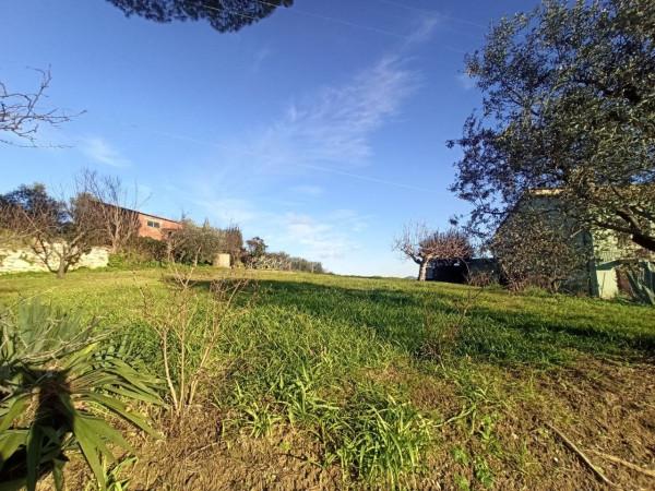 immagine annuncio 2 di 4