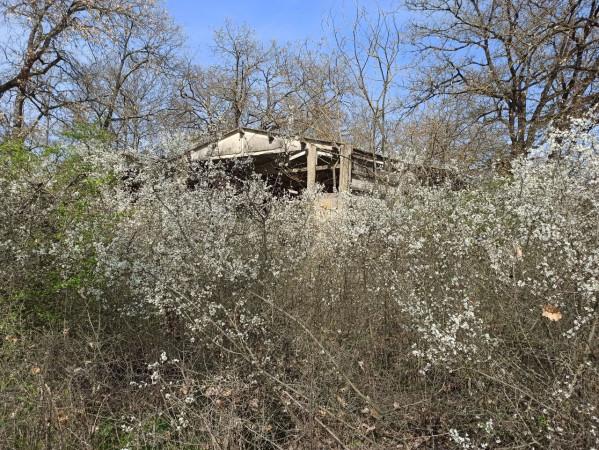 immagine annuncio 2 di 12