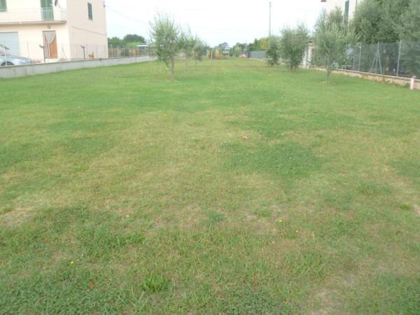 immagine annuncio 2 di 7