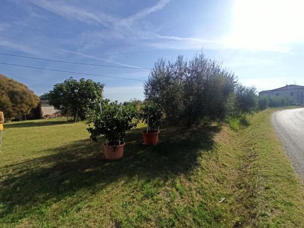 immagine annuncio 7 di 8