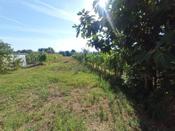 immagine annuncio 6 di 8