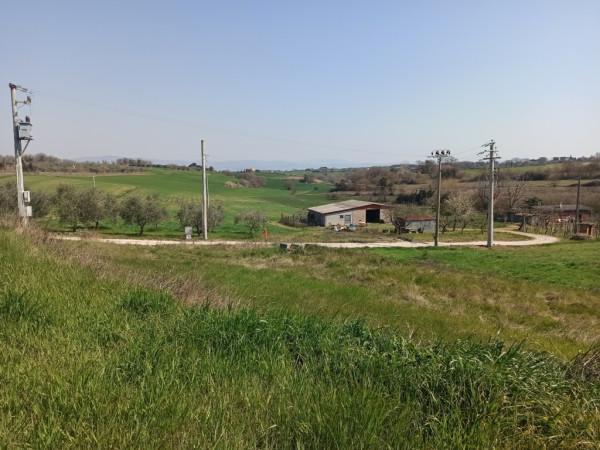 immagine annuncio 5 di 9