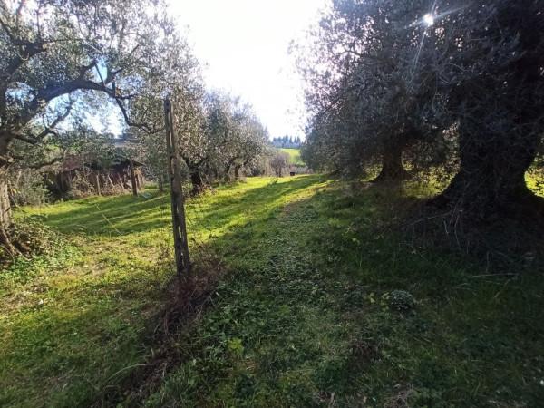 immagine annuncio 2 di 6