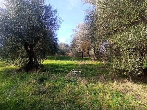 immagine annuncio 7 di 11