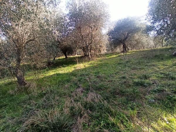 immagine annuncio 6 di 11