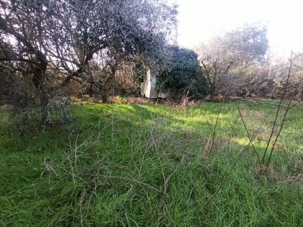 immagine annuncio 9 di 11