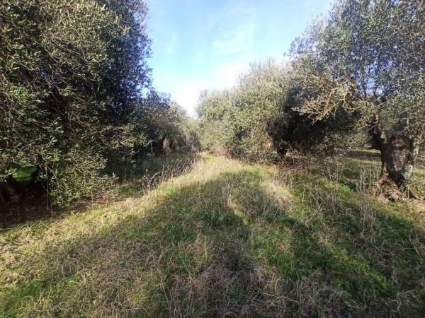 immagine annuncio 8 di 11