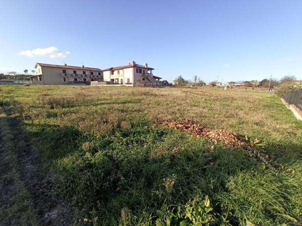 immagine annuncio 4 di 6