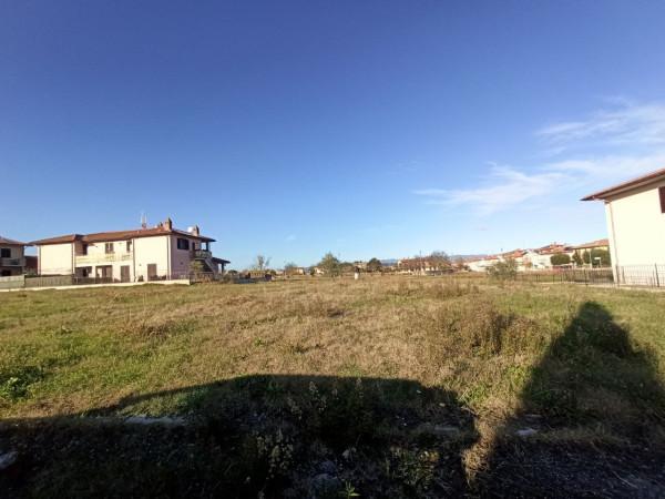 immagine annuncio 5 di 6