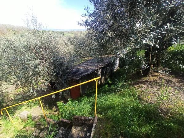 immagine annuncio 4 di 8