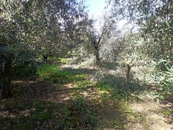 immagine annuncio 7 di 8
