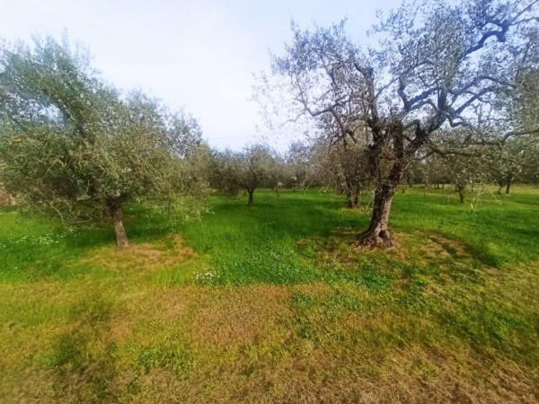 immagine annuncio 3 di 7