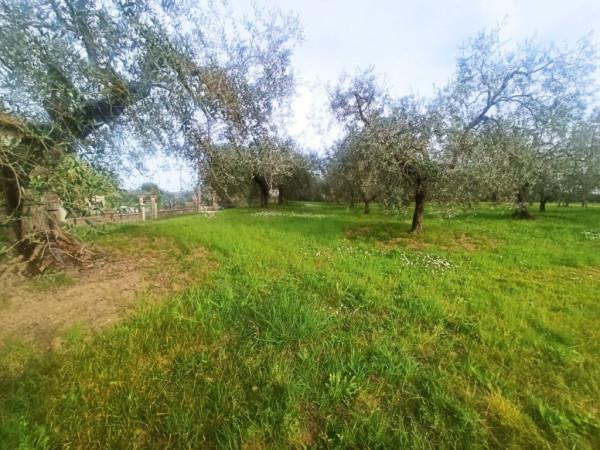 immagine annuncio 5 di 7