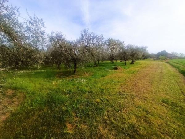 immagine annuncio 6 di 7