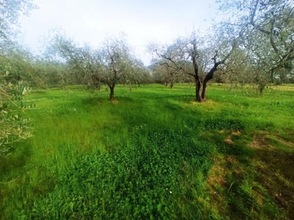 immagine annuncio 2 di 11