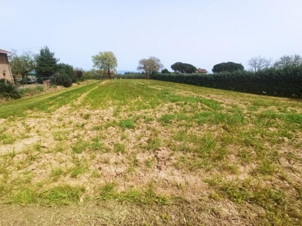 immagine annuncio 8 di 11