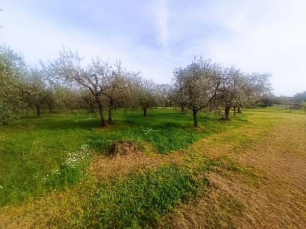 immagine annuncio 6 di 11