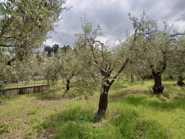 immagine annuncio 6 di 12