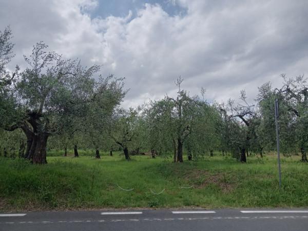 immagine annuncio 11 di 12