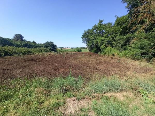 immagine annuncio 3 di 7