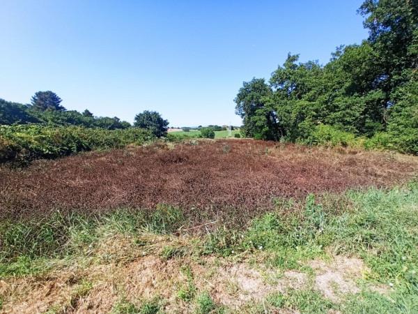 immagine annuncio 2 di 7