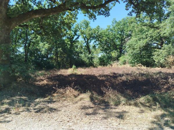 immagine annuncio 4 di 7