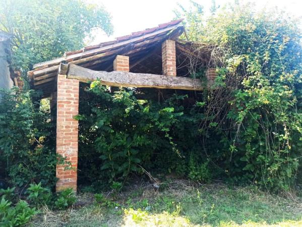 immagine annuncio 3 di 7