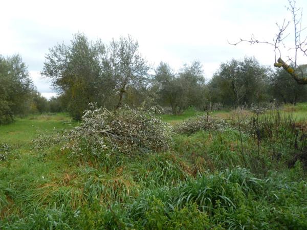 immagine annuncio 3 di 6