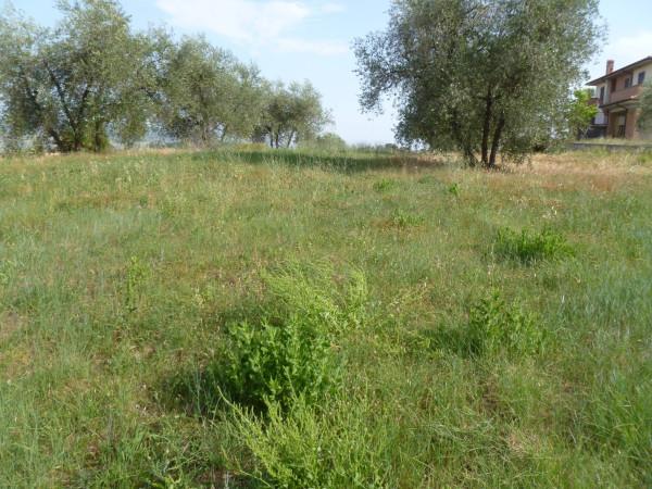 immagine annuncio 1 di 6