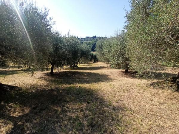 immagine annuncio 6 di 13