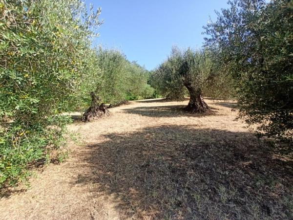 immagine annuncio 5 di 13