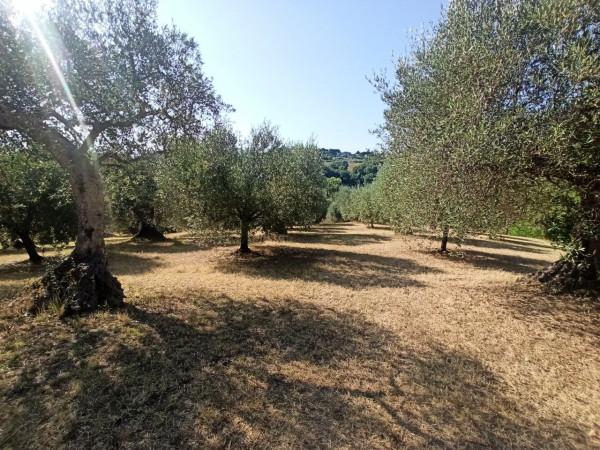 immagine annuncio 11 di 13