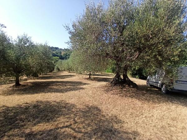 immagine annuncio 10 di 13