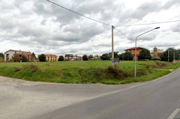 immagine annuncio 5 di 8