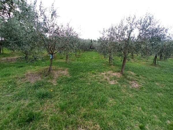 immagine annuncio 5 di 6